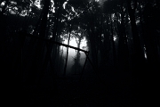 Lost youth - Peninha, Sintra, PT, 2012 