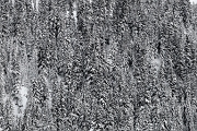 Texturized Cold - Valais, Suisse, CH, 2024