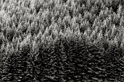 2021_08_06_Wicklow Glendalough_0129