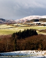 Wintery Irish countryside - Dunmanway, Co. Cork, IE, 2017 