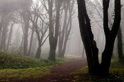 Two boulder sisters trail - Serra da Peninha, PT, 2013 