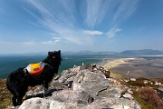 Ross-Behy, Co. Kerry, IE 2019